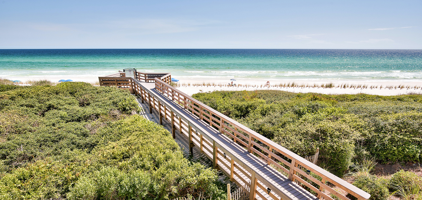 One of Dune Allen's beach access boardwalks surrounded by native vegetation